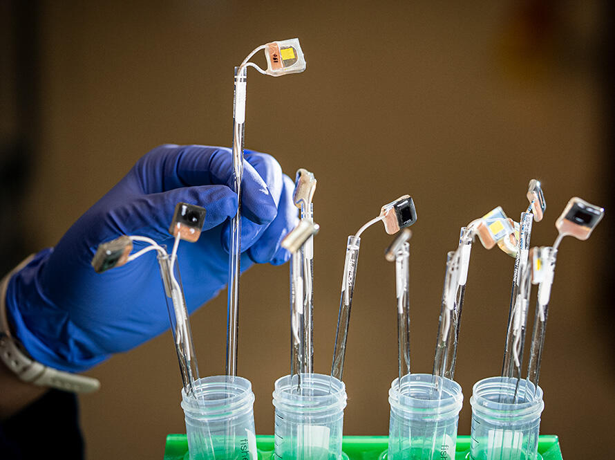 A blue, gloved hands placing instruments into beakers.