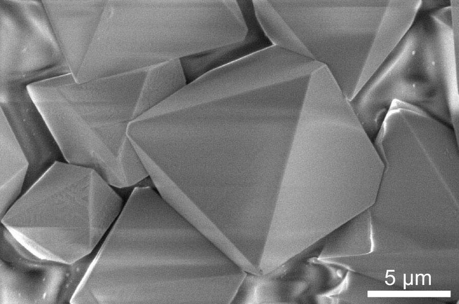 Scanning electron microscope image of six-element single crystals.