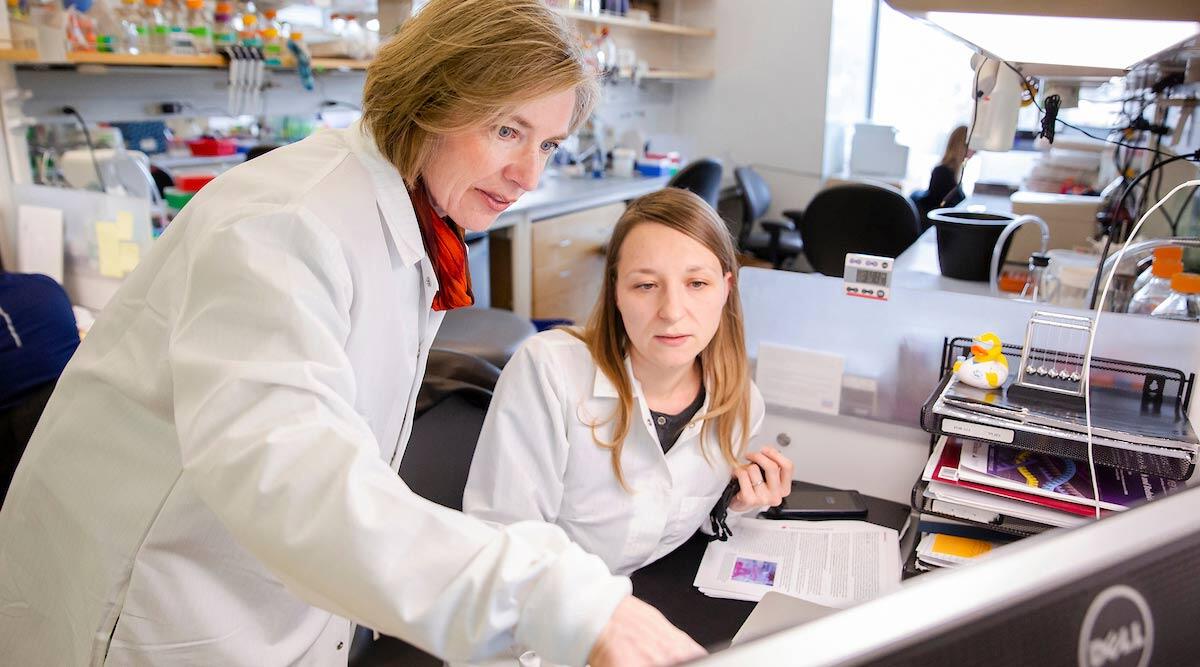 Two scientist in a lab.