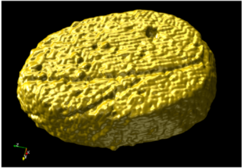 STEM tomography image of a 3D-grown 100-200-nanometer crystalline disc