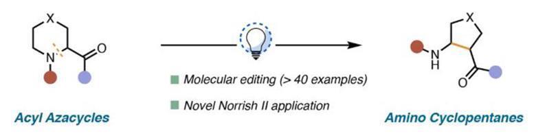 Example of Norrish type II reaction