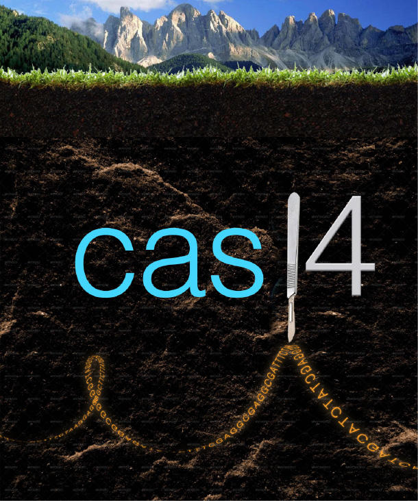 Graphic of Soil and CAS14. (Iris Burstein image)