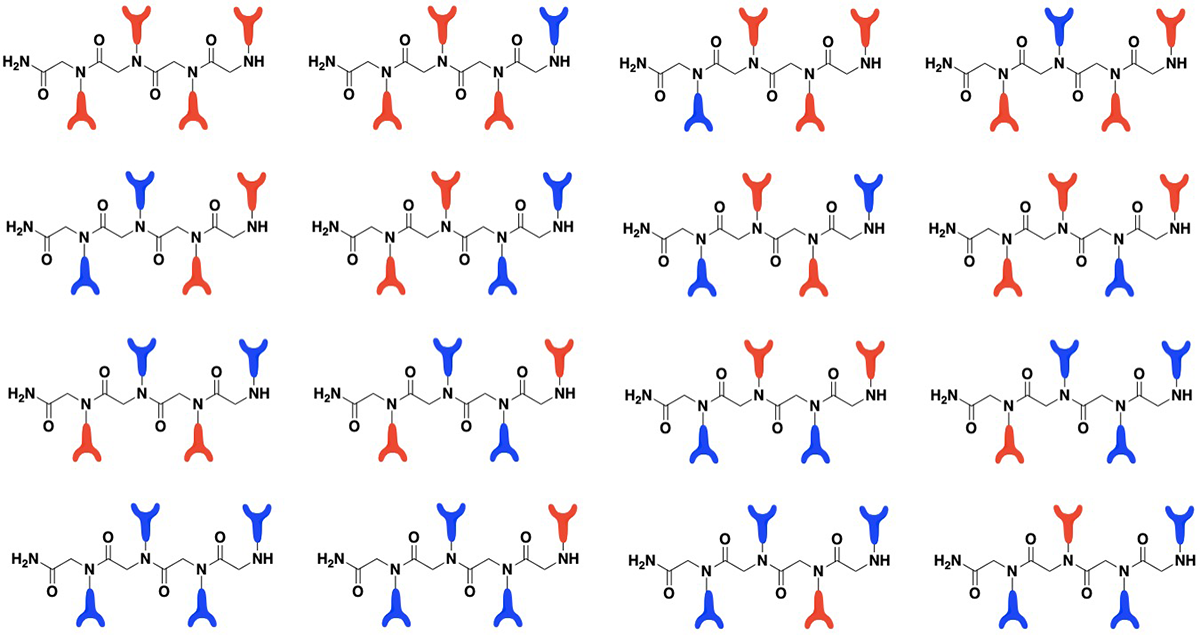 Illustration of peptide combinations