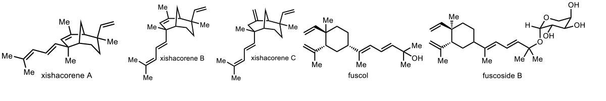 Examples of xishacorene A, B, and C