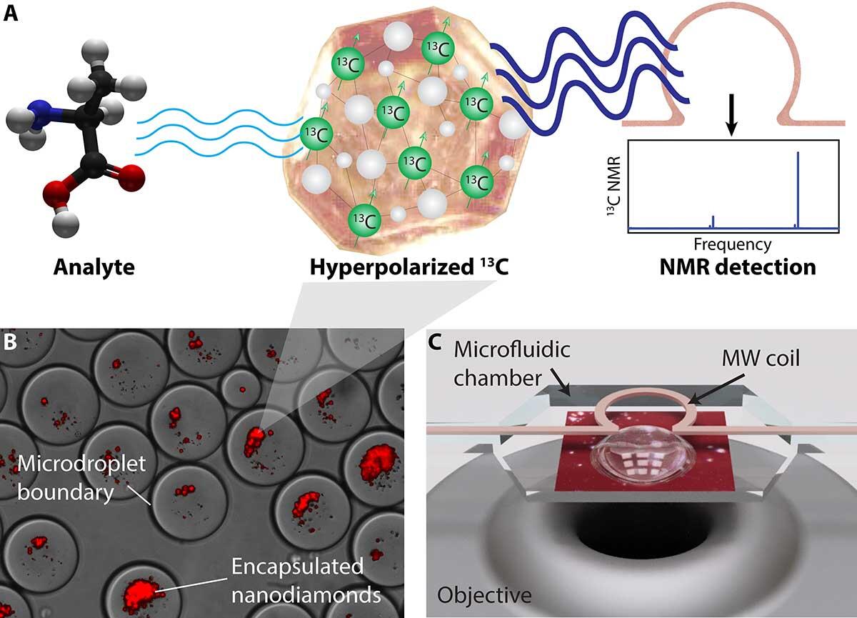 Illustrations of NMR diamond nanoparticle designs