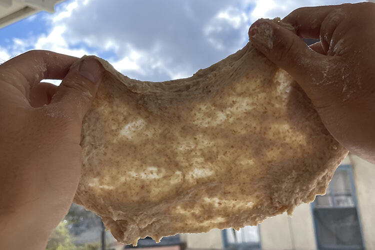 See through bread