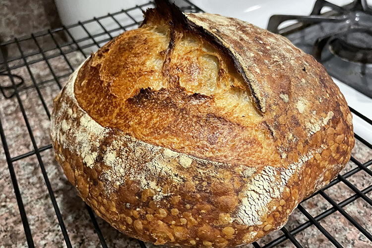 Sourdough bread