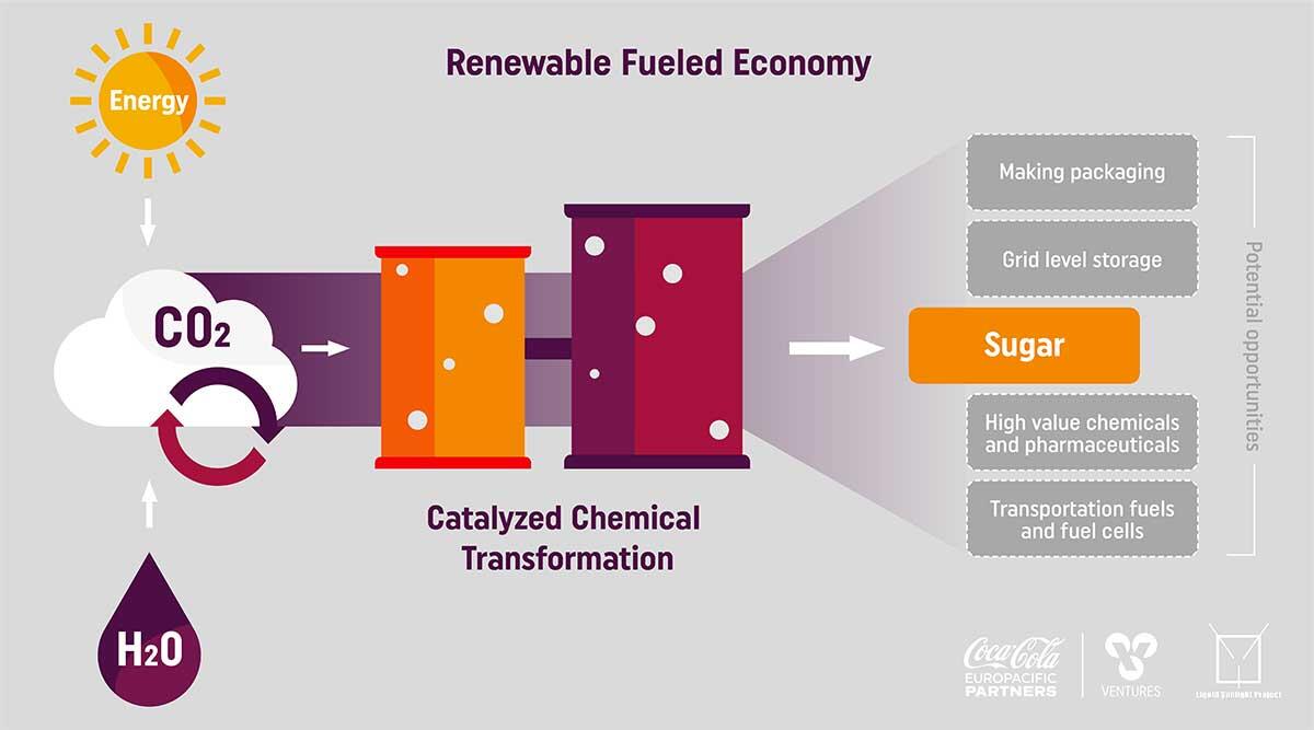 Illustration of CO2 to sugar process