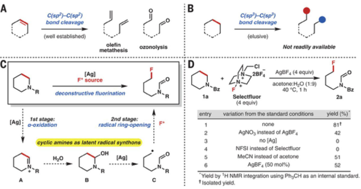 deconstructive functionalization graphic