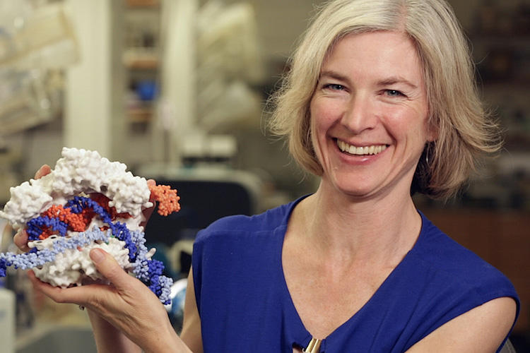 Jennifer Doudna holds a model of the CRISPR-Cas9 protein (white) interacting with DNA (orange and blue).