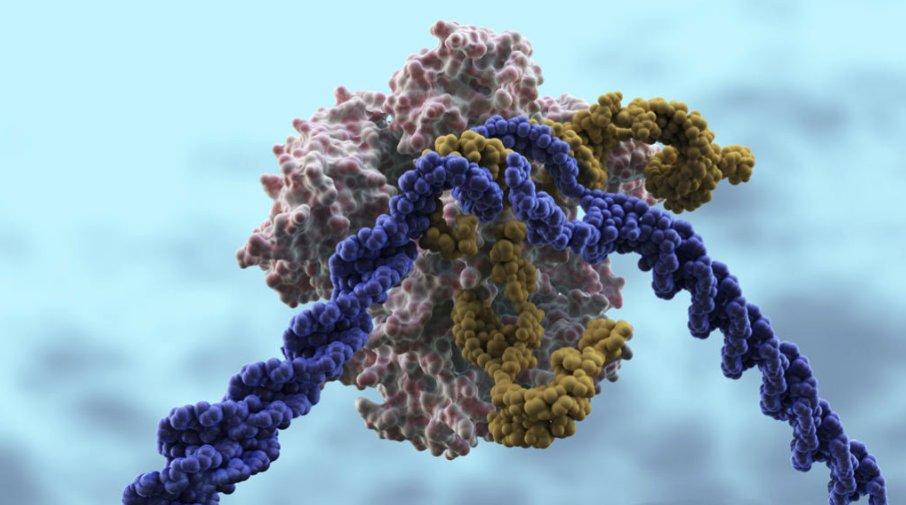 Cas9 protein illustration