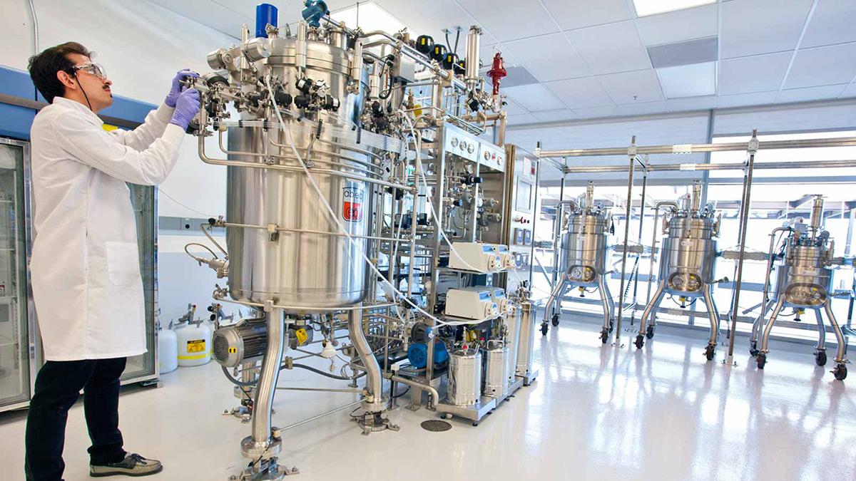 Bioprocess Engineering Program Description | College Of Chemistry