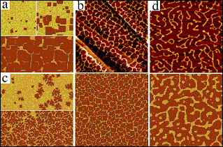 This image depicts examples of structures observed in experiments (upper panels of b and d) and predicted by a reduced model of nanocrystal self-assembly. This image depicts examples of structures observed in experiments (upper panels of b and d) and predicted by a reduced model of nanocrystal self-assembly.