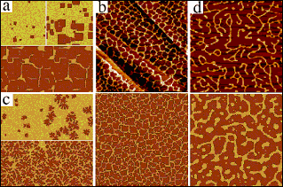 This image depicts examples of structures observed in experiments (upper panels of b and d) and predicted by a reduced model of nanocrystal self-assembly.