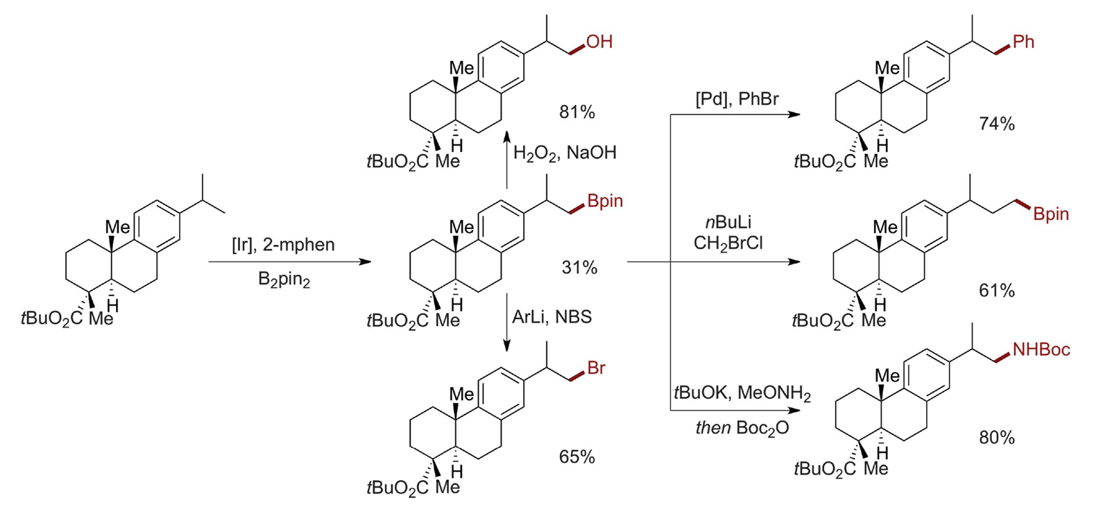 C-H catalyst