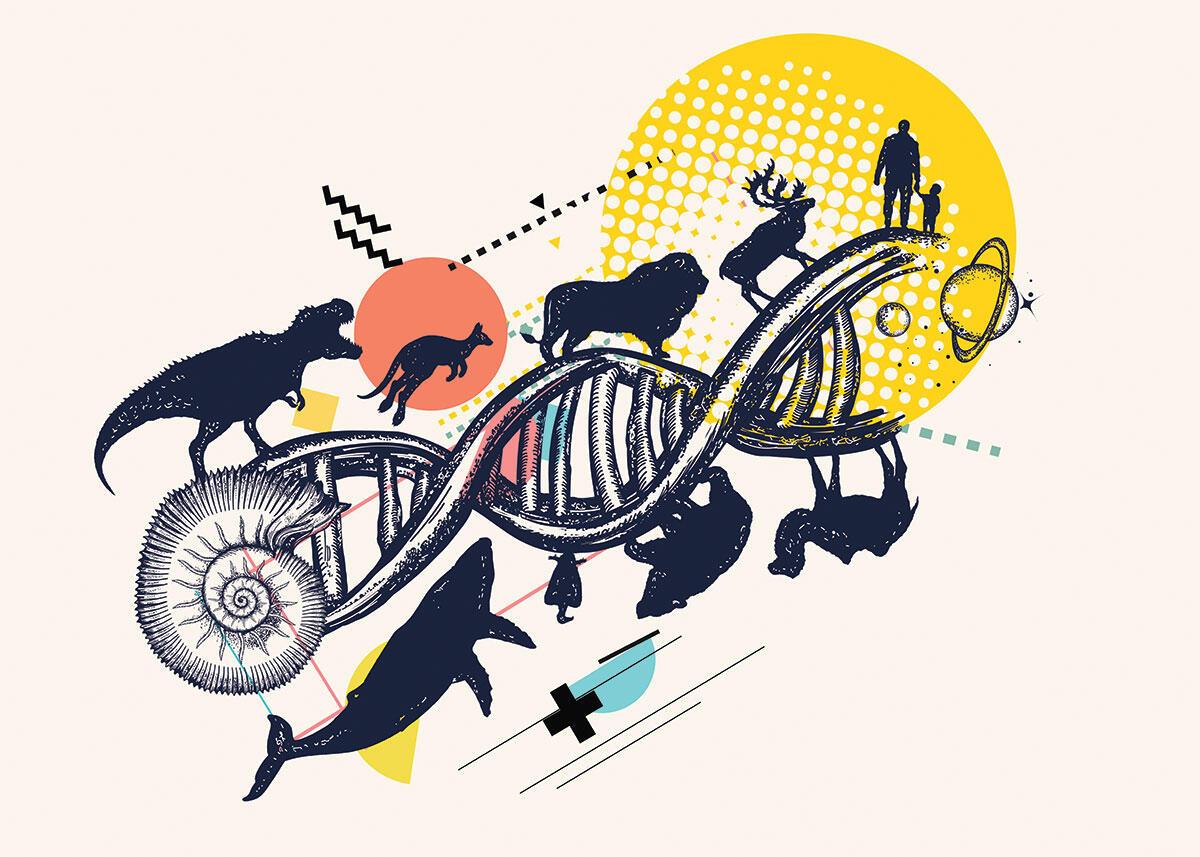 Illustration of DNA and parade of animals and man