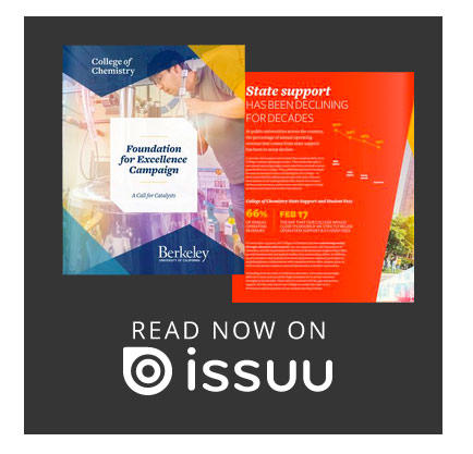 Learn about the Campaign on ISSUU