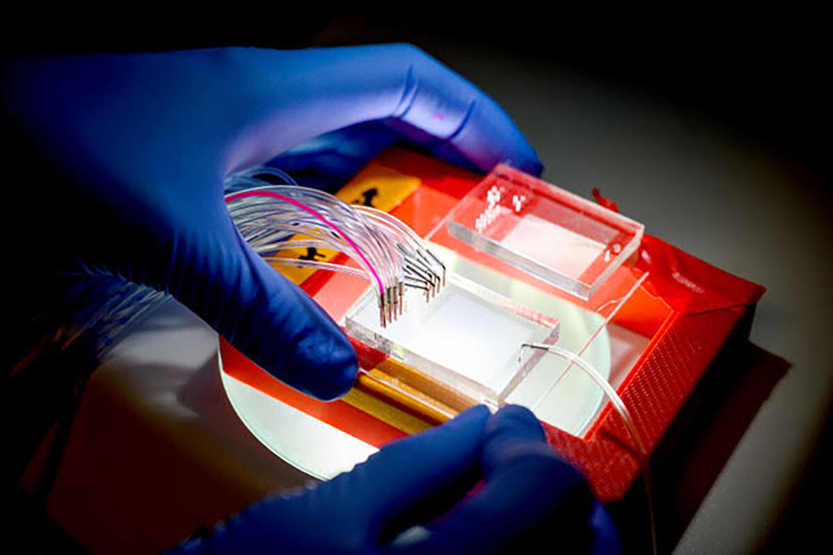 close-up of blue-gloved hands working on a device in a laboratory