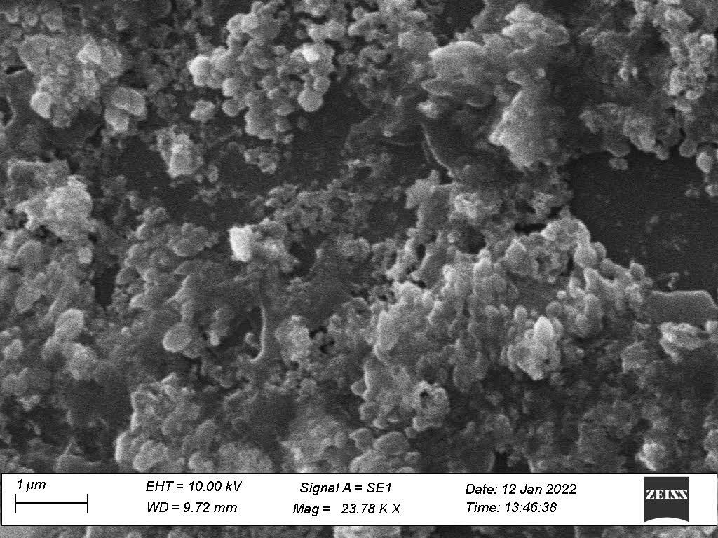 Nanoflake structure captured by the electron microscope