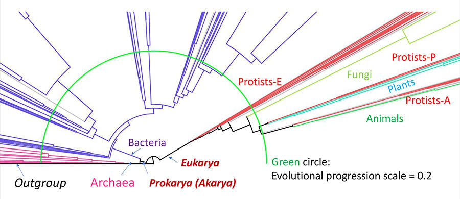 Chart of ‘Burst’ of whole proteome Tree of Life