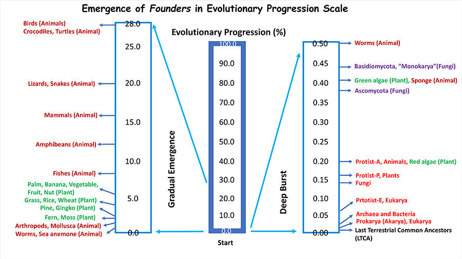 evolutionary progression scale.
