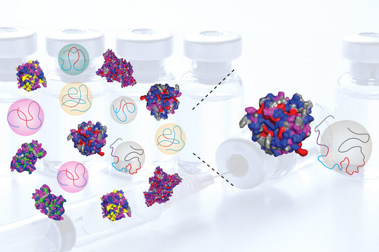 Biochemistry | College of Chemistry