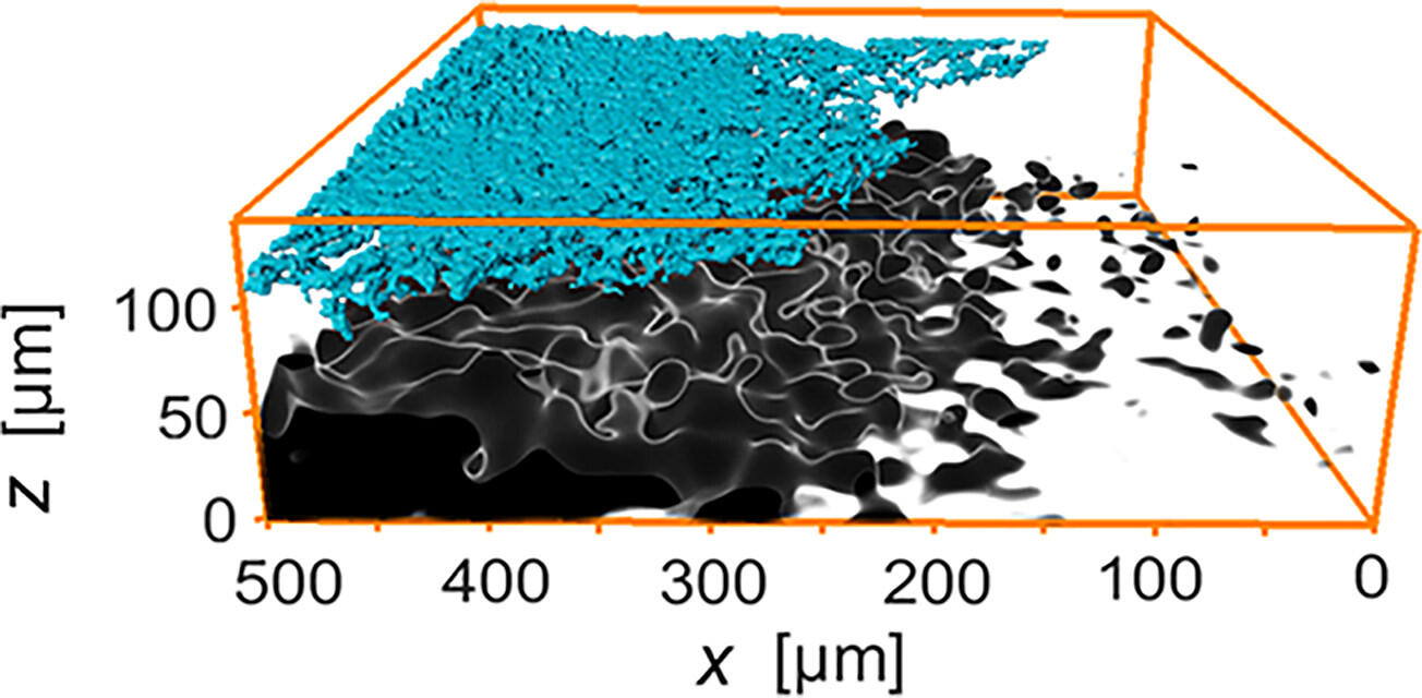 Illustration of “shadow effect” observed in a graphite electrode 