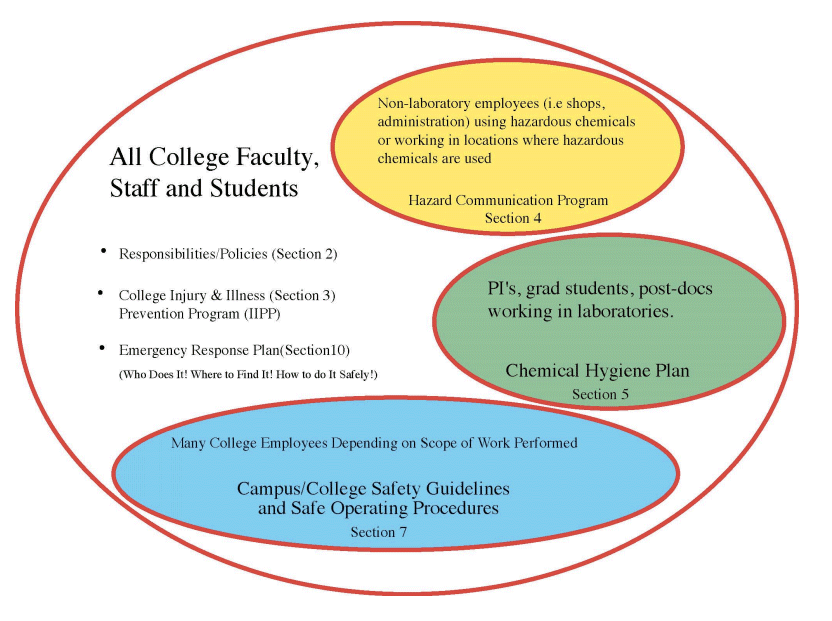 ccEHSS graphic