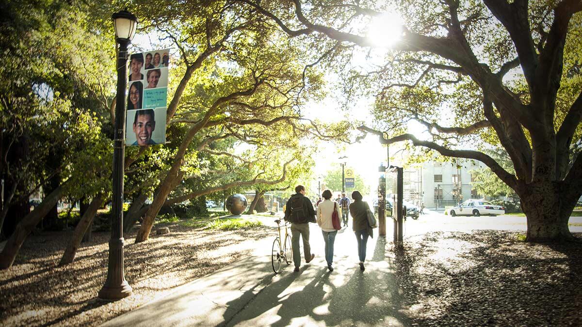 uc berkeley master of bioprocess engineering