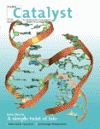 Catalyst Cover 7.2