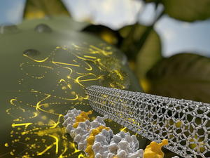 carbon nanotube