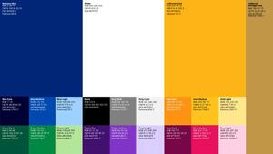 color palette