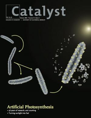 Catalyst Magazine 11.1