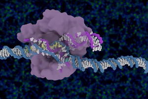 CRISPR-CAS9 patent awarded to UC Berkeley and Jennifer Doudna