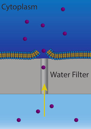 Nano electroporation