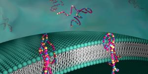 synthetic film that mimics transmembrane proteins