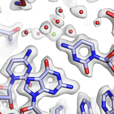 Engineering ribosomes graphic