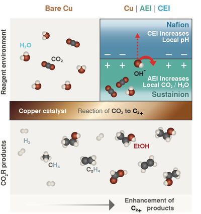 copper catalyst diagram