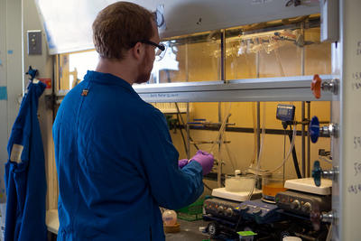 Graduate student working in lab