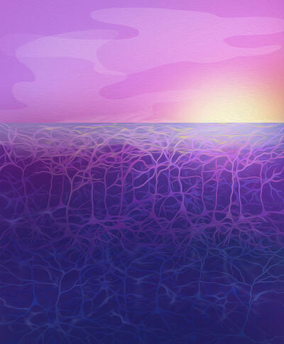 Different layers of the cortex are visualized as depths in the ocean, with the sun playing the role of light/vision Different layers of the cortex are visualized as depths in the ocean, with the sun playing the role of light/vision